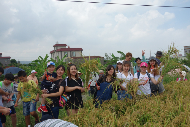 DSC01984-1
