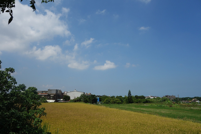 DSC01373-1