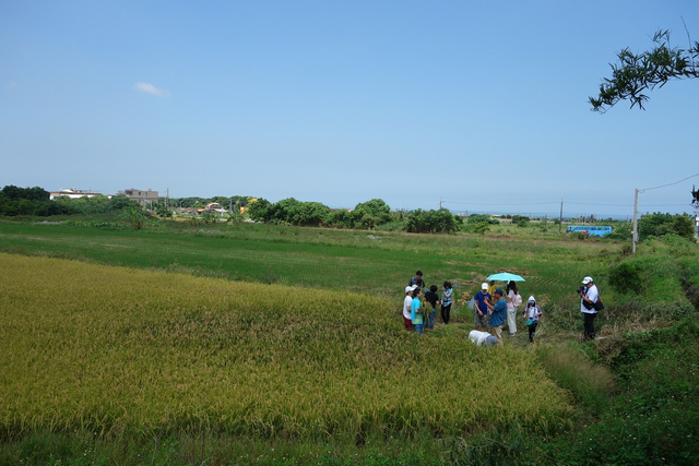 DSC01369-1