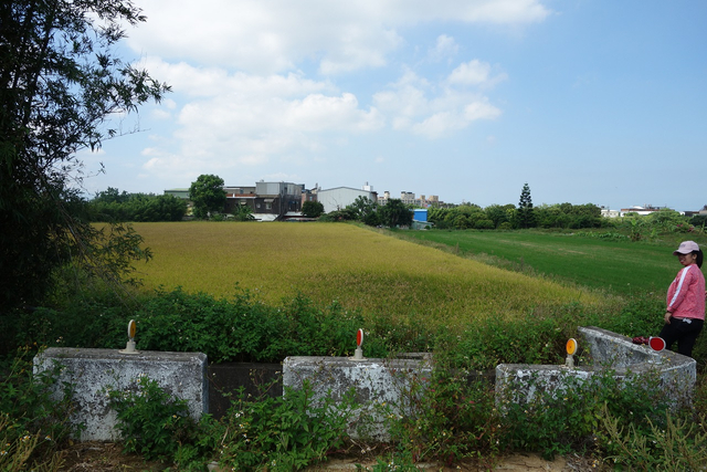 DSC01343-1