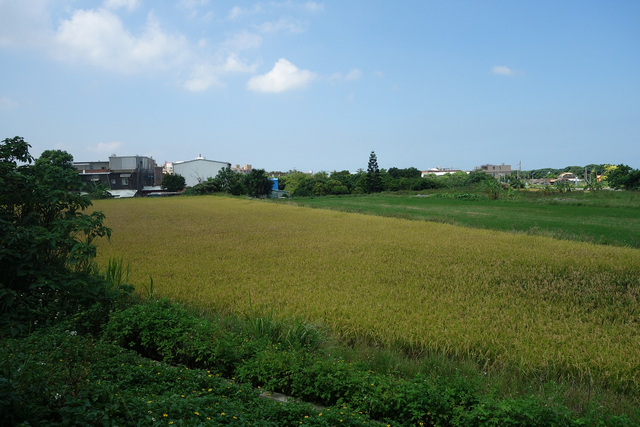 DSC01370-1