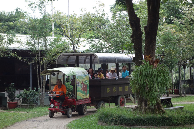 DSC01420-1