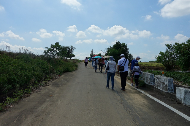 DSC01341-1